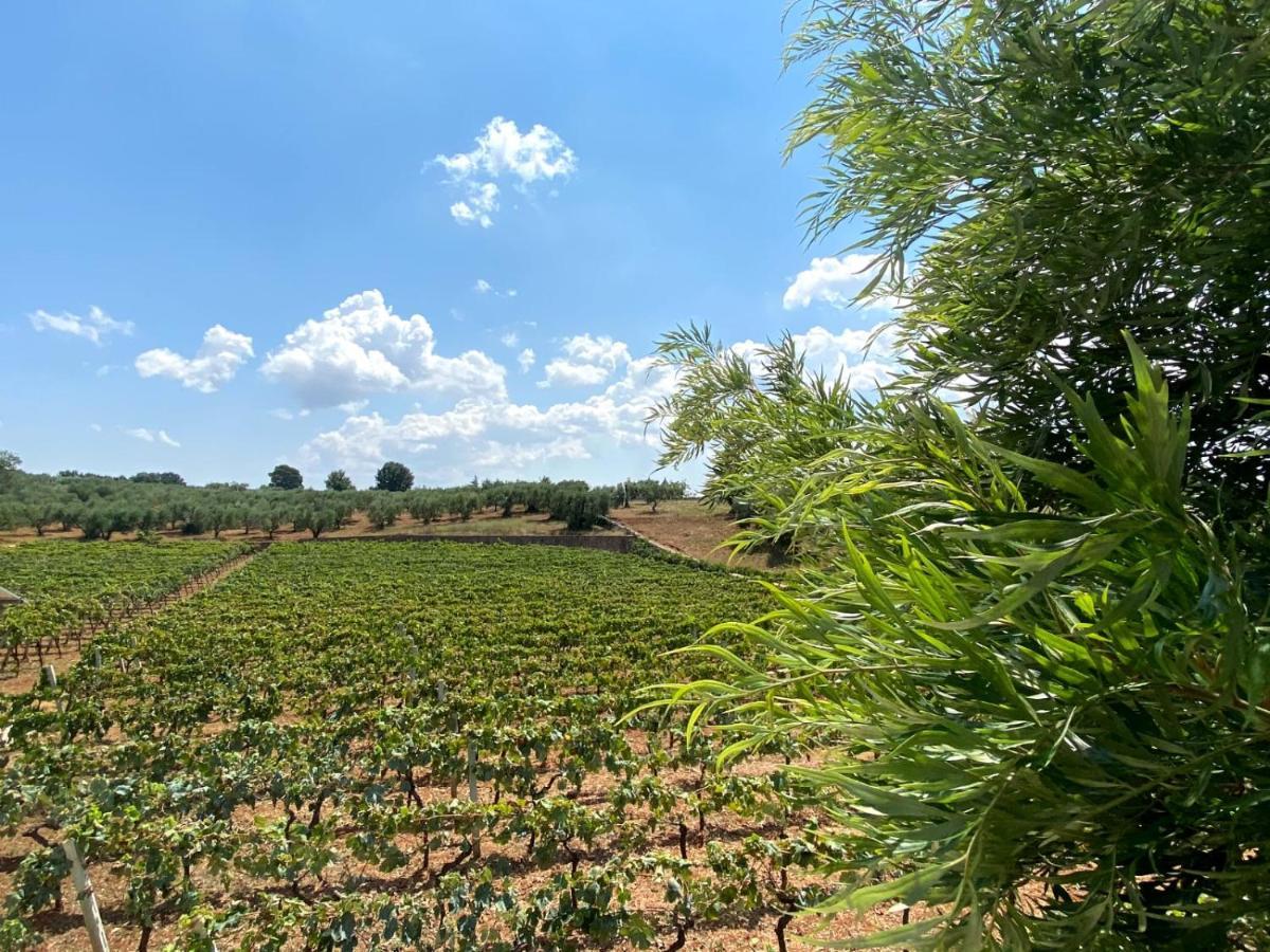 Tenuta Montanaro Locorotondo Εξωτερικό φωτογραφία