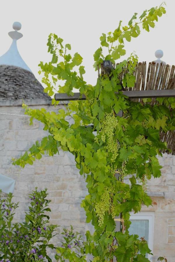Tenuta Montanaro Locorotondo Εξωτερικό φωτογραφία